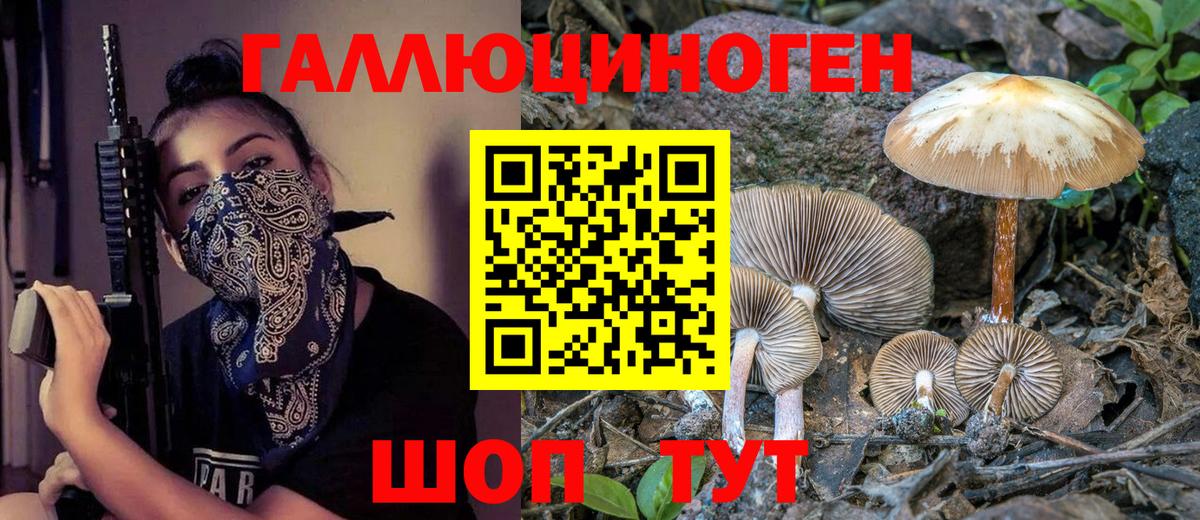 Псилоцибиновые грибы мицелий Нижний Новгород