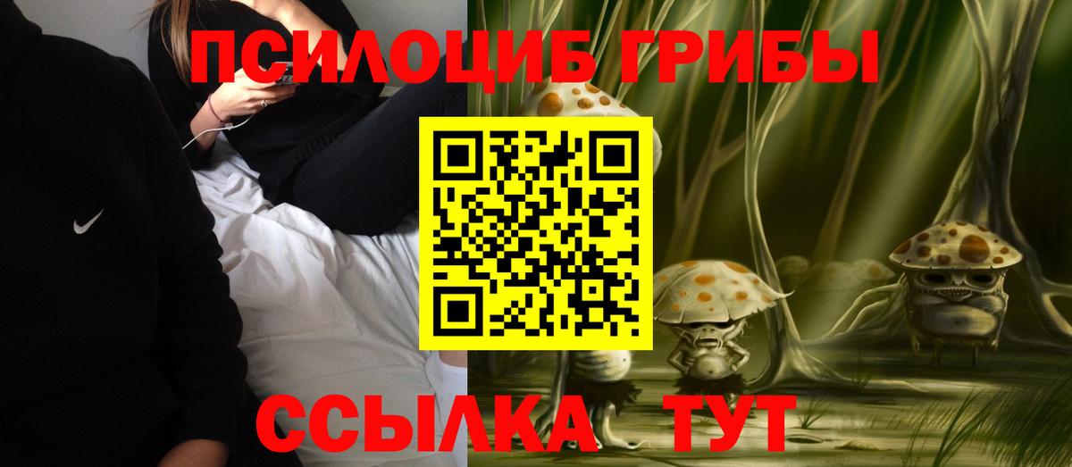 Нижний Новгород  Галлюциногенные грибы прущие грибы  Псилоцибиновые грибы мицелий  Вход с VPN 