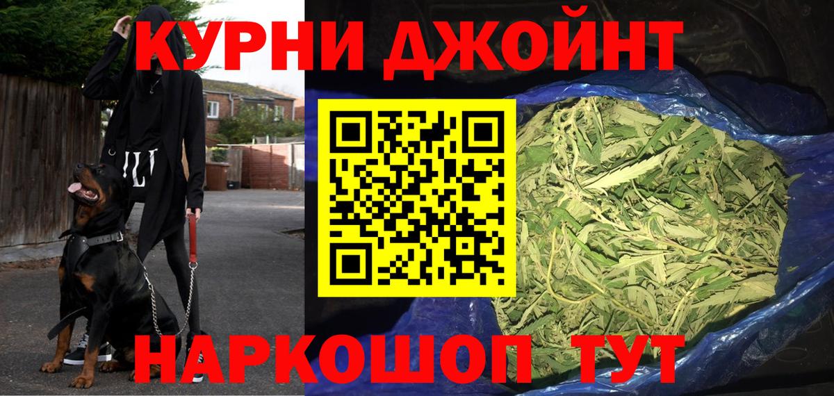 Конопля план Нижний Новгород